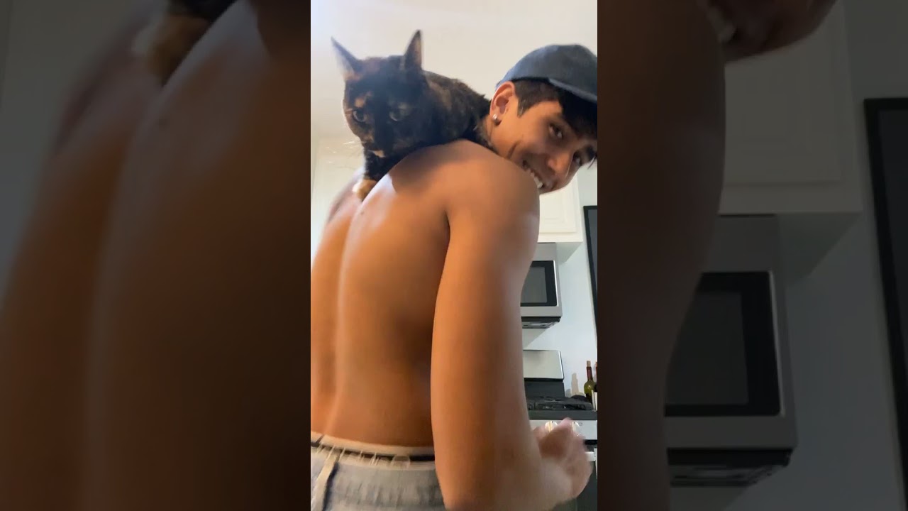 Michael Cimino knows how to take care of a cat, and man look at those abs #lovevictor #michael