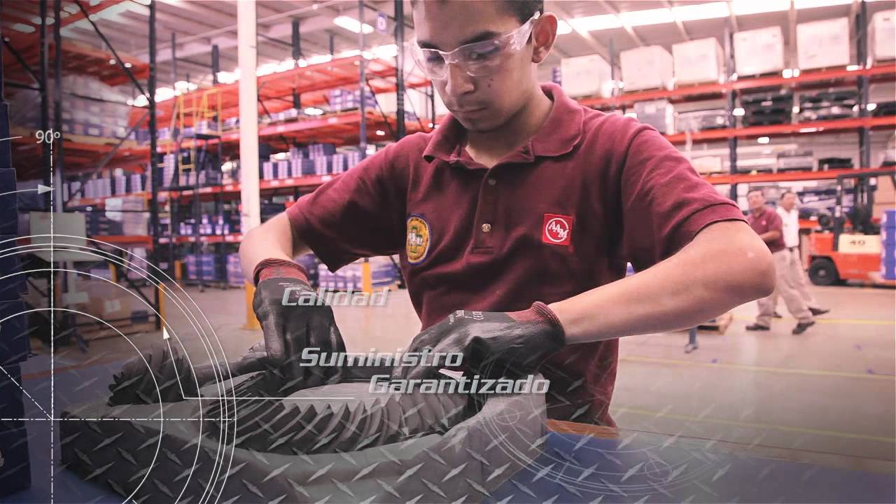 AAM Power to Deliver - México
