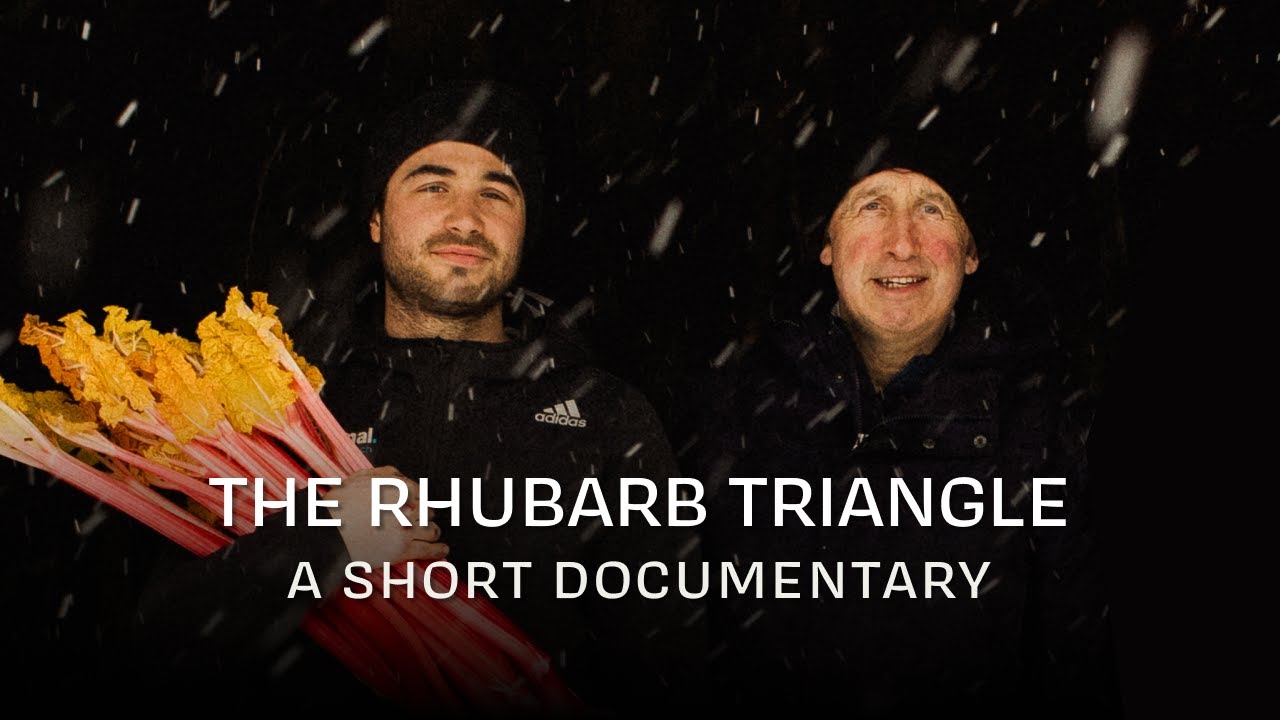The Rhubarb Triangle – Spring 24