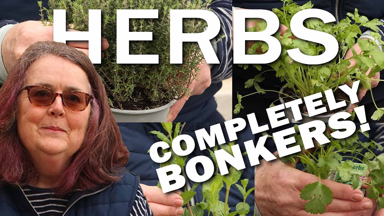 Herbs