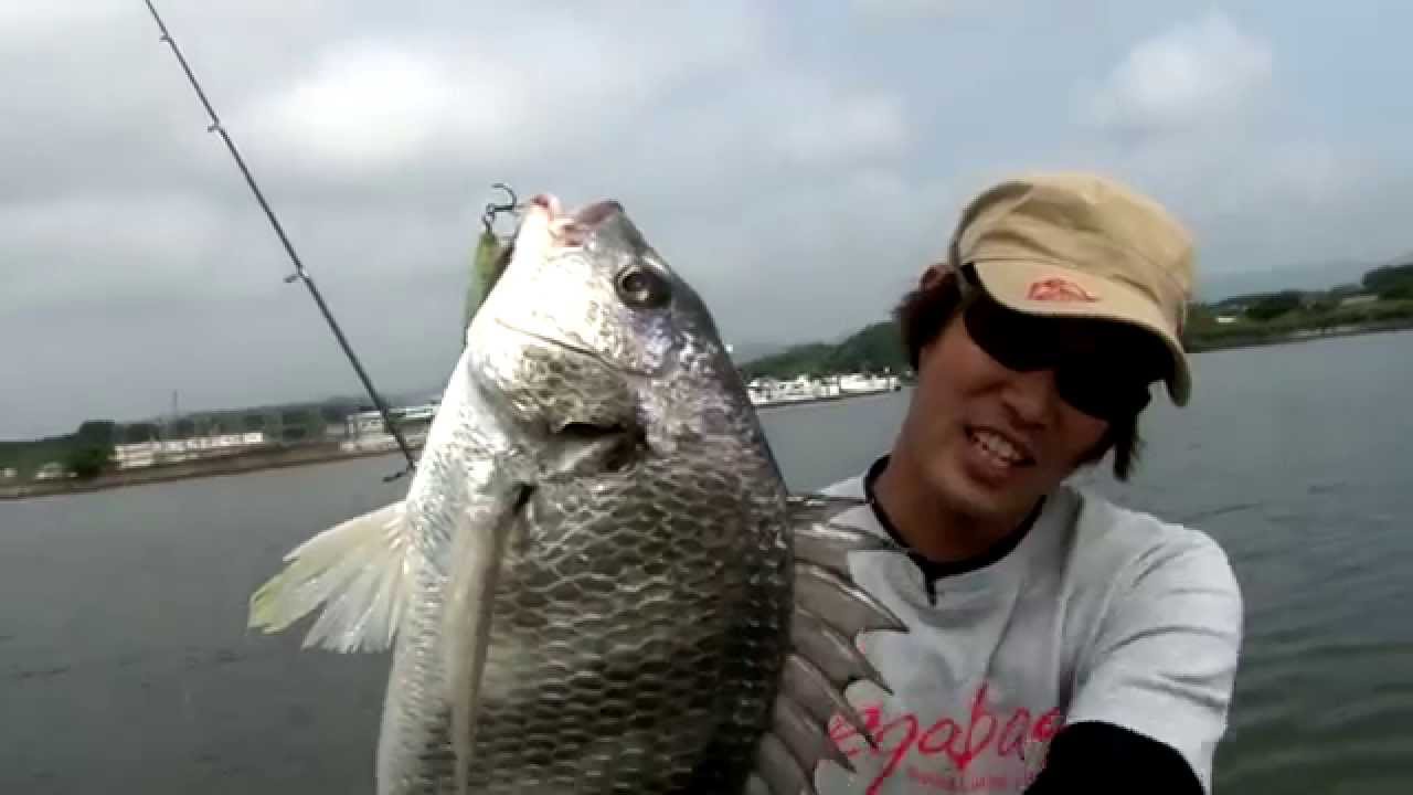 MEGABASS MOVIE #263　クロダイポッパーを誰でも簡単に楽しめる「POPPING DUCK」