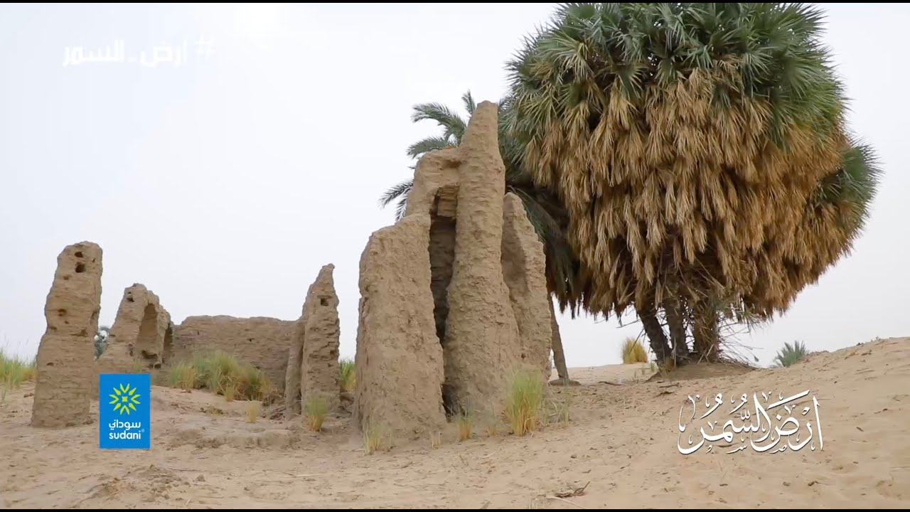 الغابة | أرض السمر | الموسم الرابع | نبتة لللإنتاج الفني والإعلامي