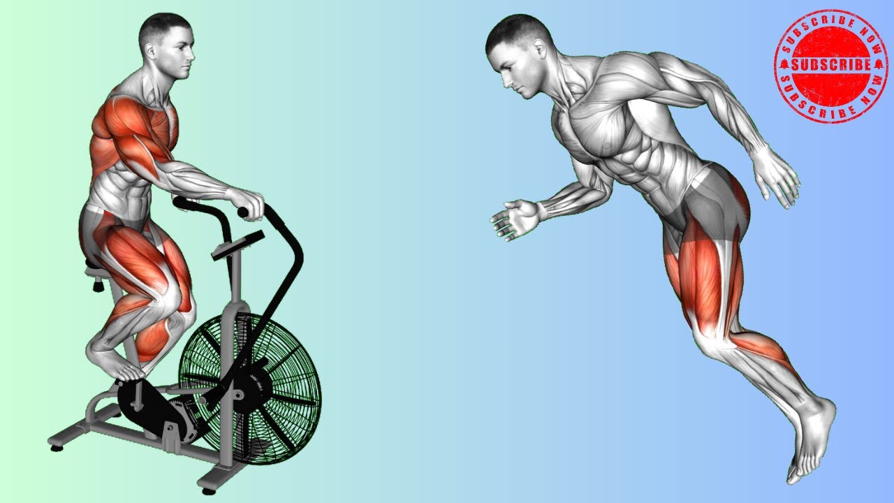 The Ultimate HIIT Cardio Routine for Weight Loss (Follow Along).