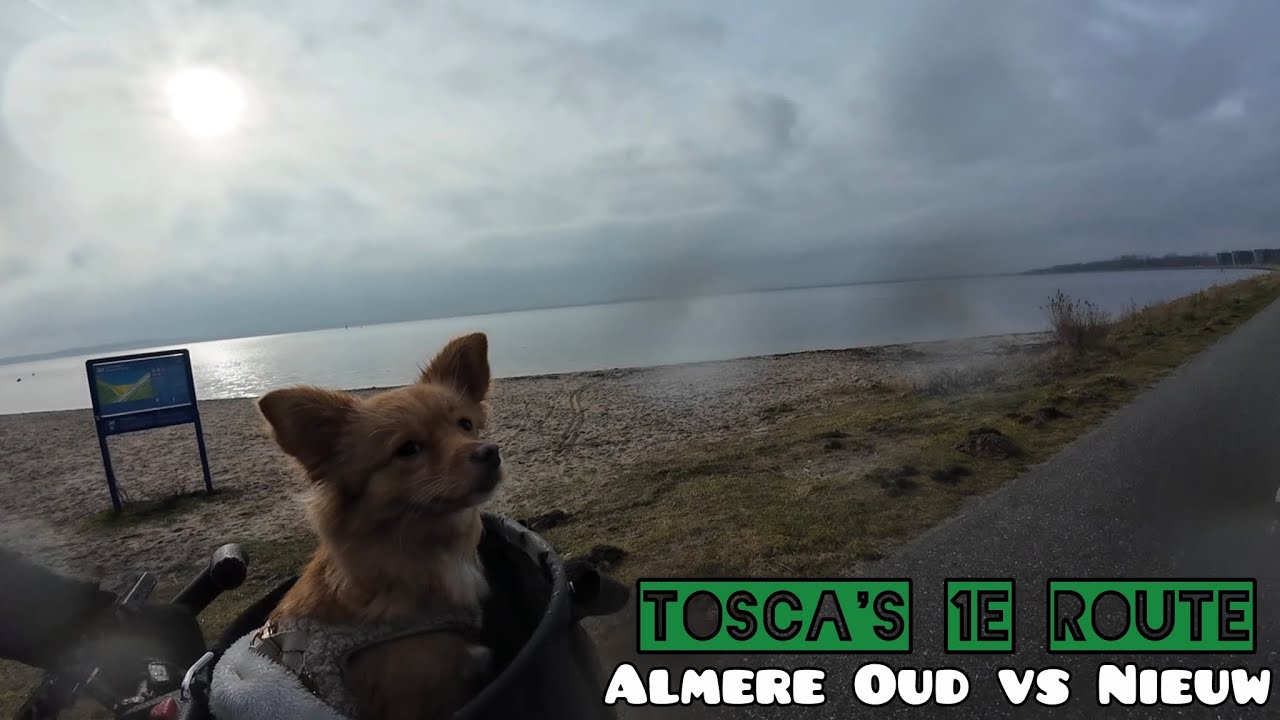 Fietsroute Almere Oud vs Nieuw | TOSCA's 1e Route! | 35,1 km | 01-02-2026