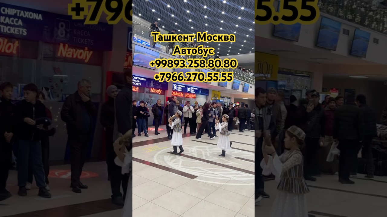 Ташкент Москва Камфорт Автобуслар 