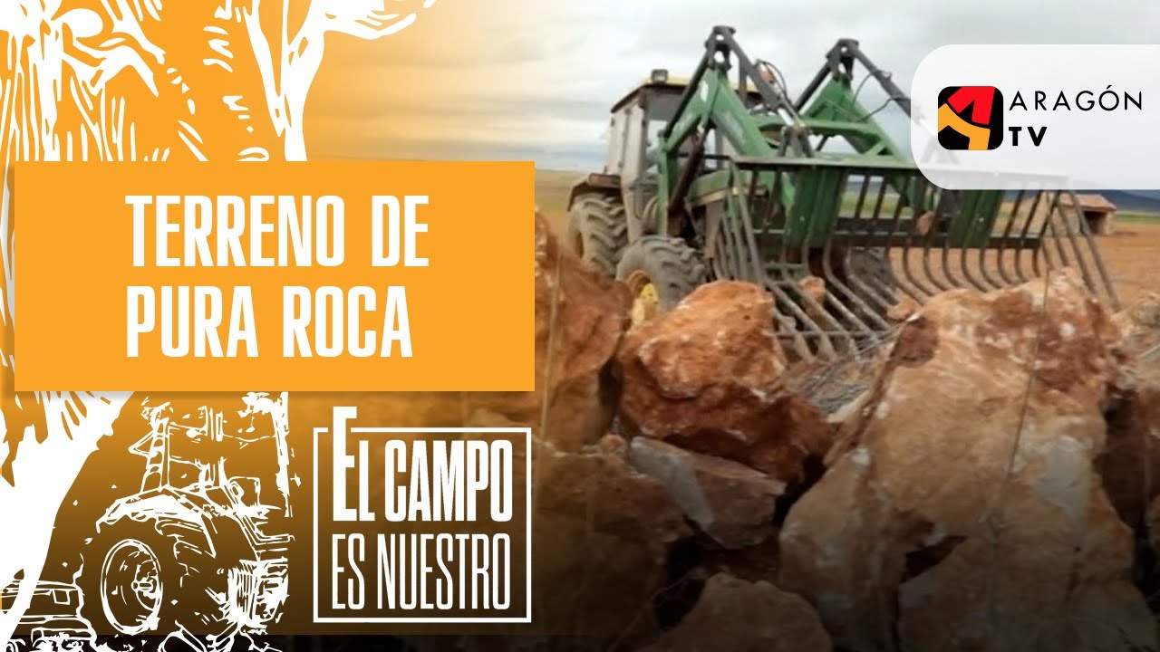 Este campo tiene piedras como para hacer un castillo.