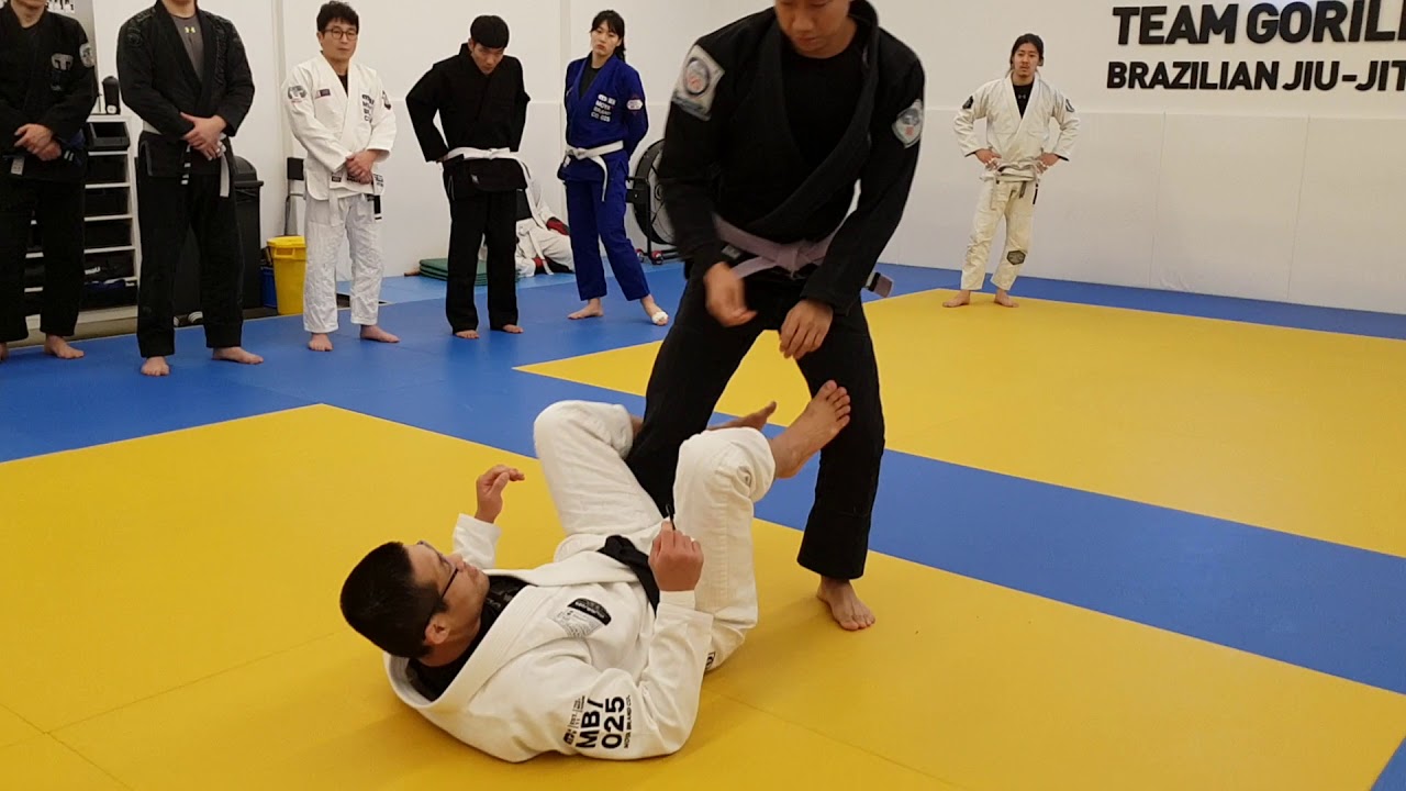 20190104 팀 고릴라주짓수 수내 세미나 : 싯업가드 1 (Sit-up Guard 1)
