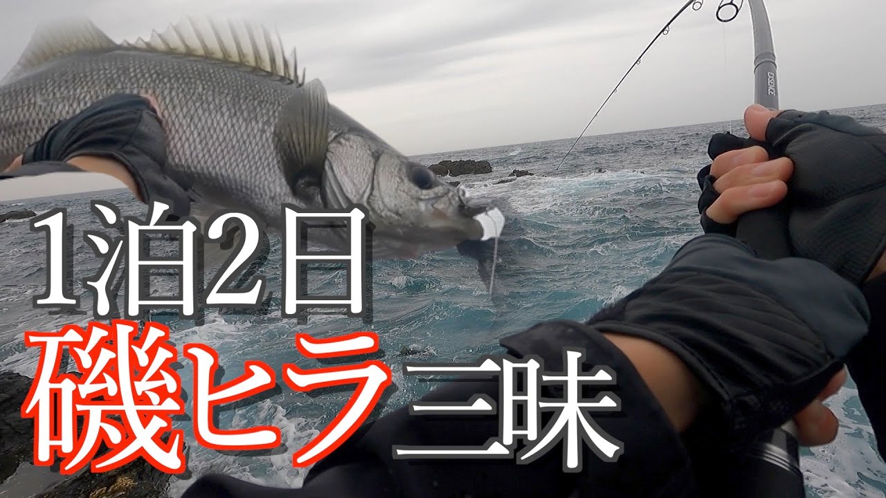 【ロックショア】1泊2日で磯ヒラ三昧【ヒラスズキ】
