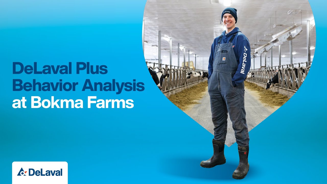 DeLaval Plus Behavior Analysis at Bokma Farms, Nova Scotia, Canada