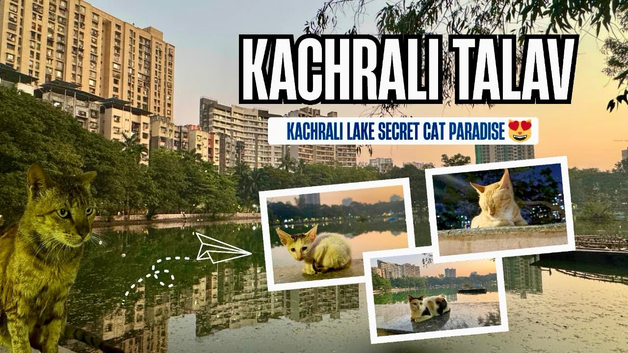 Kachrali Lake : A secret cat park       