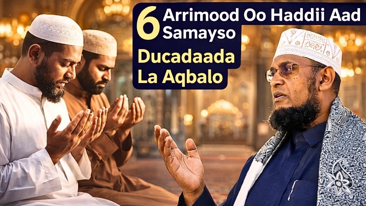 6 Arimood Haddii Aad Samayso Ducada Laga Aqbali Sh Bashir