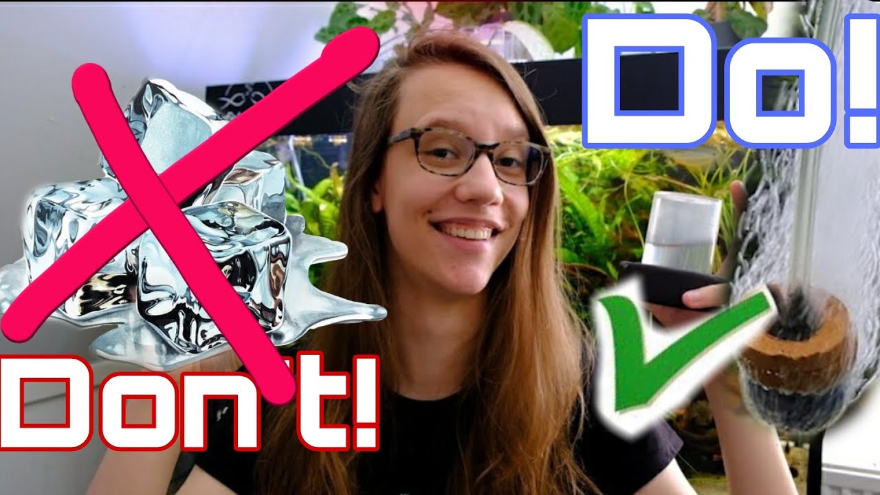 HITTEGOLF?! ZUURSTOF is de OPLOSSING voor jouw VISSEN!!  //Nickey//