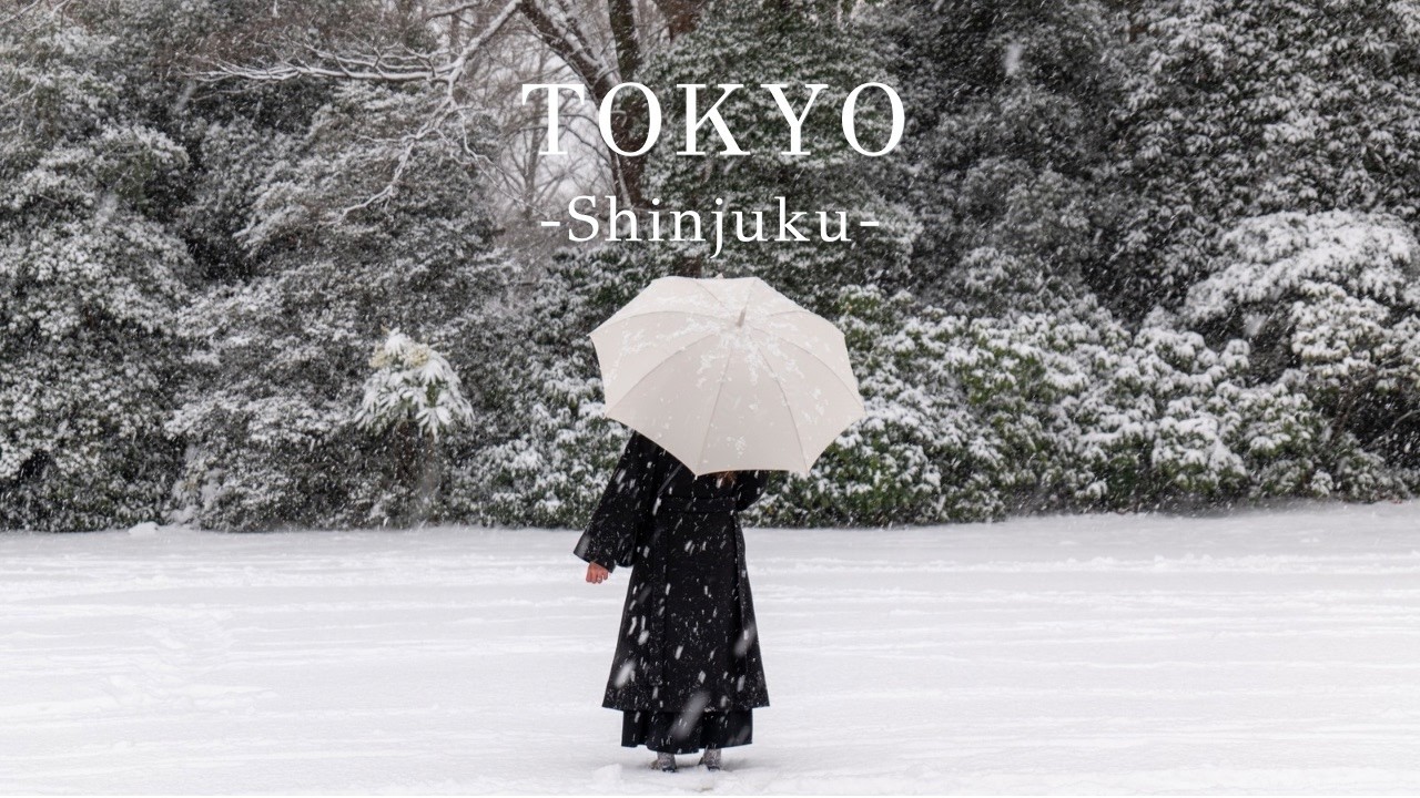 【新宿】東京に雪が降った日｜新宿御苑Vlog