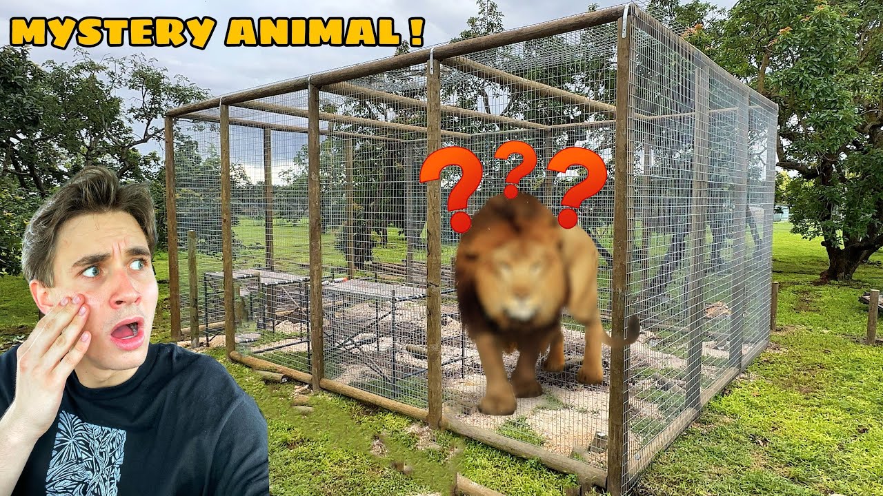 BUILDING HUGE HABITAT FOR *NEW* MYSTERY ZOO ANIMAL !