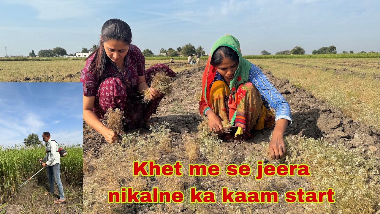Grass cut karne ka machine aa gya kese chalega ye #jeera