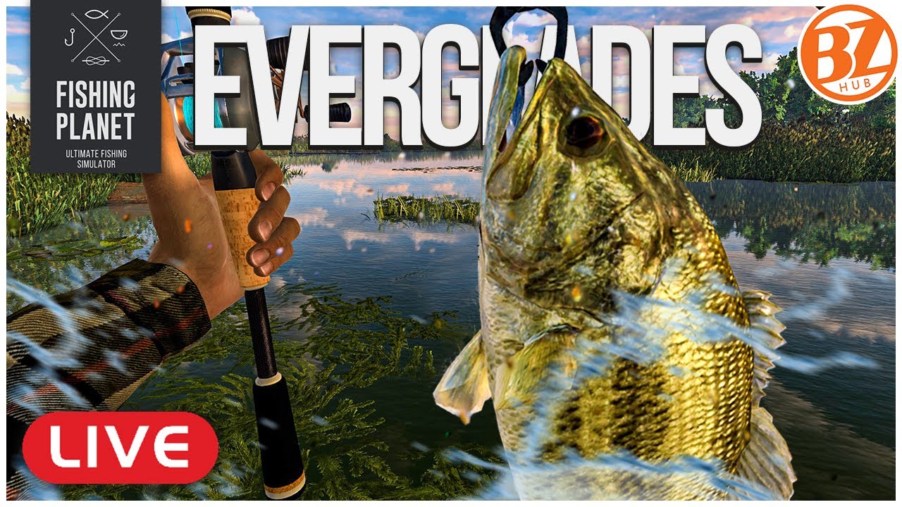 BACK TO THE EVERGLADES!! [Free-2-play] l Fishing Planet (LIVE)