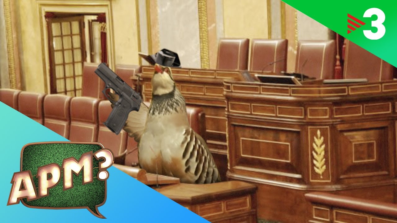 APM? - CAP. 722 - 16/02/2023