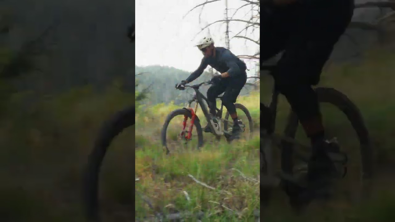 Сумка для каталки Dakine