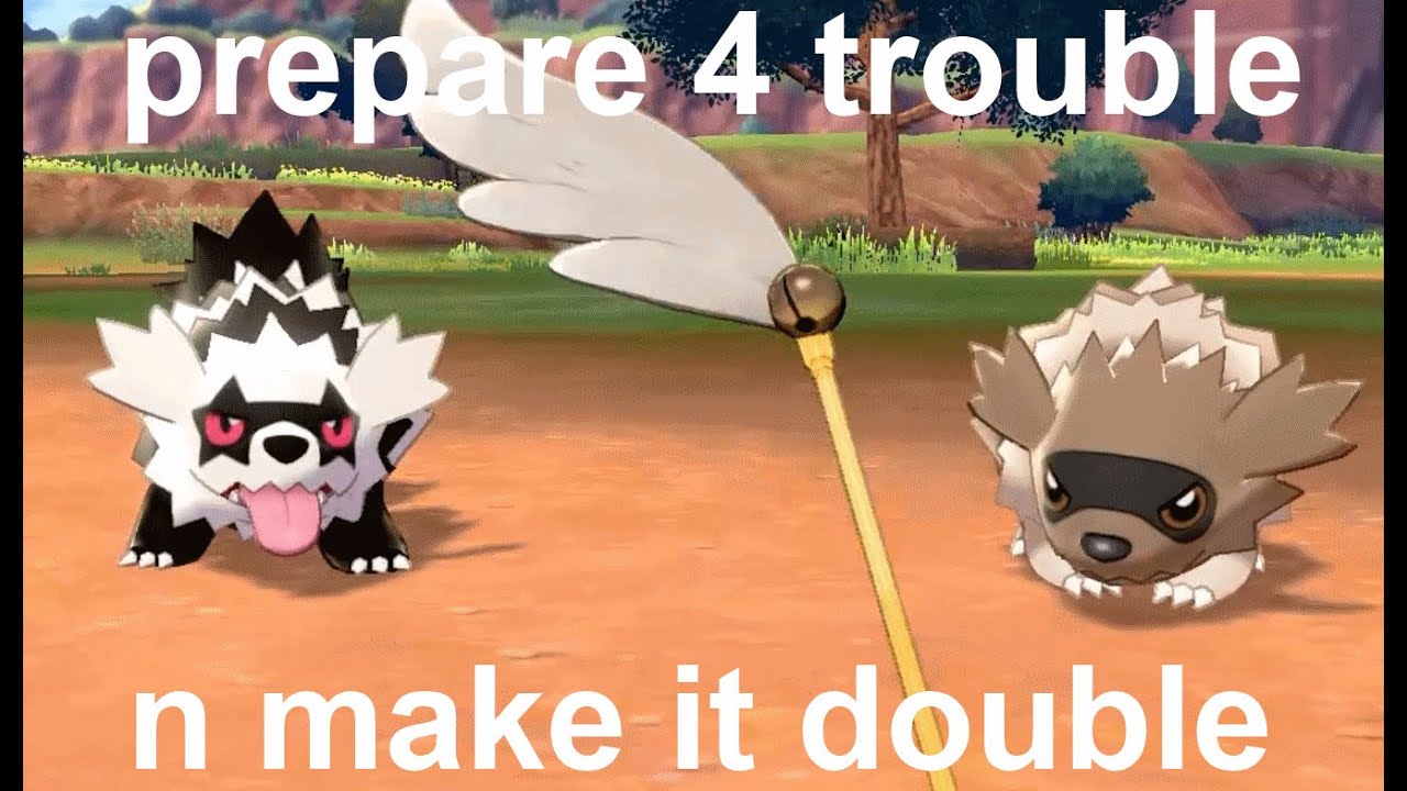 pokemon camp but its the zigzagoon evolution line