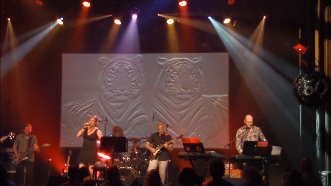 50 ans musique 49 Mechanical