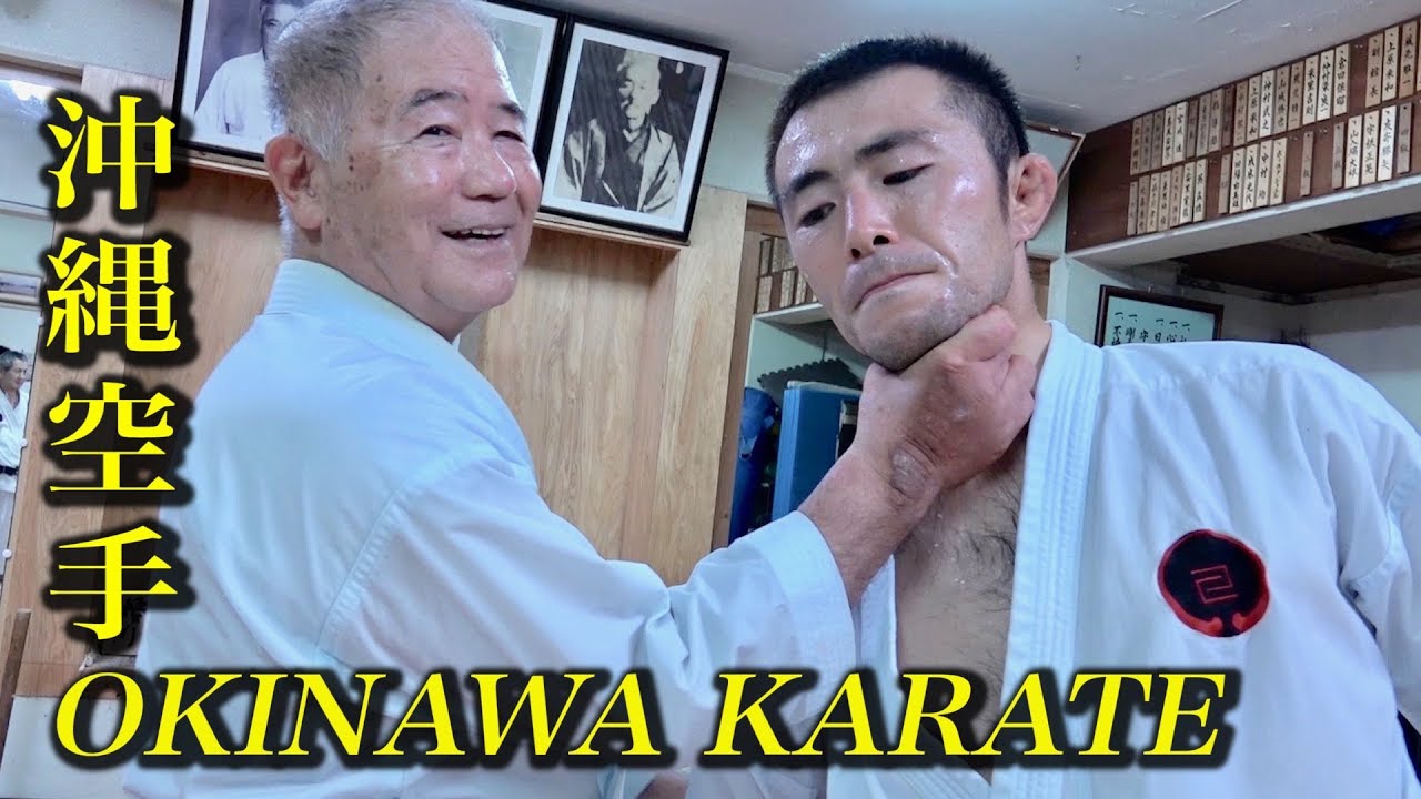 Палец - это оружие «Окинавского каратэ»! Morio Higaonna sensei 指も手も武器化して急所を攻める空手！東恩納盛男先生