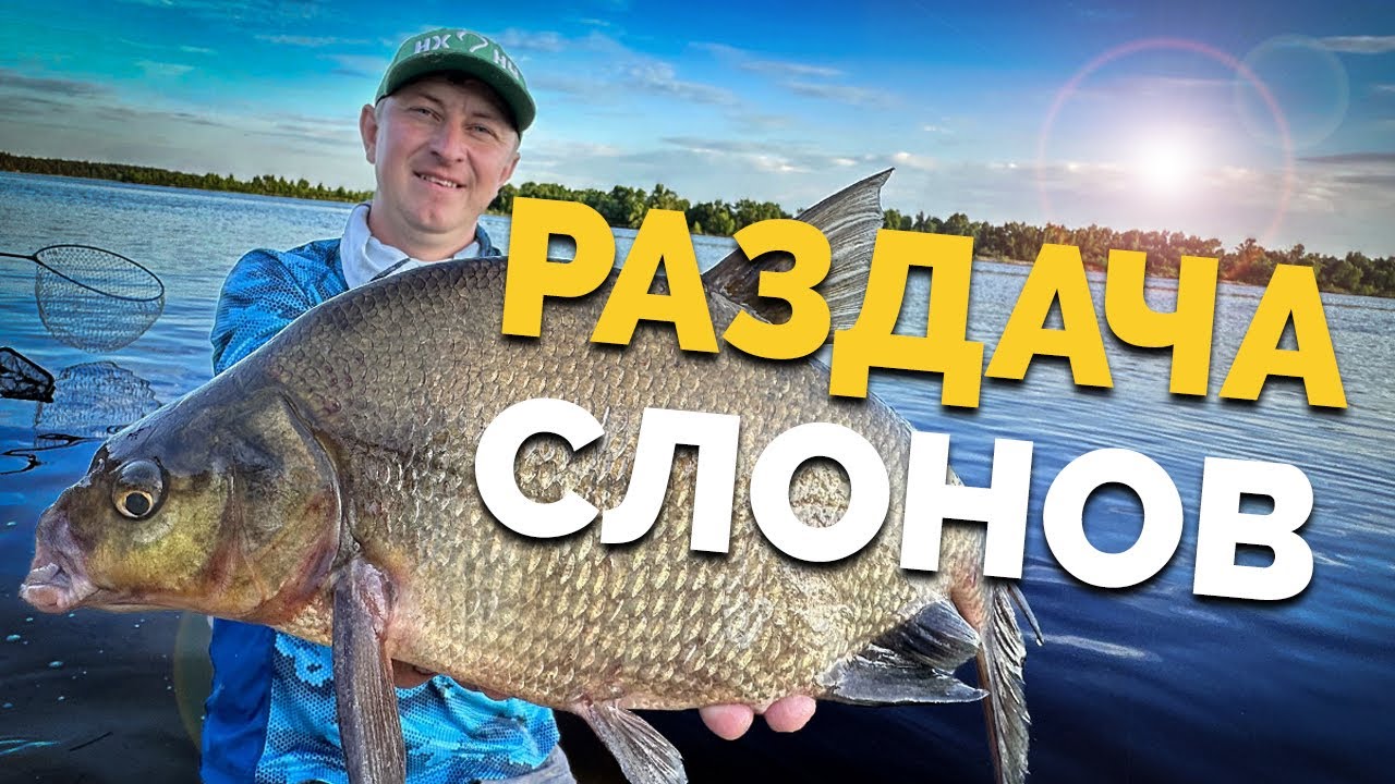 ⚠️ НЕ лещи 👉 СЛОНЫ❗️Ловим днепровских МОНСТРОВ! Крупные лещи на ДНЕПРЕ! Рыбалка ЛЕТОМ!