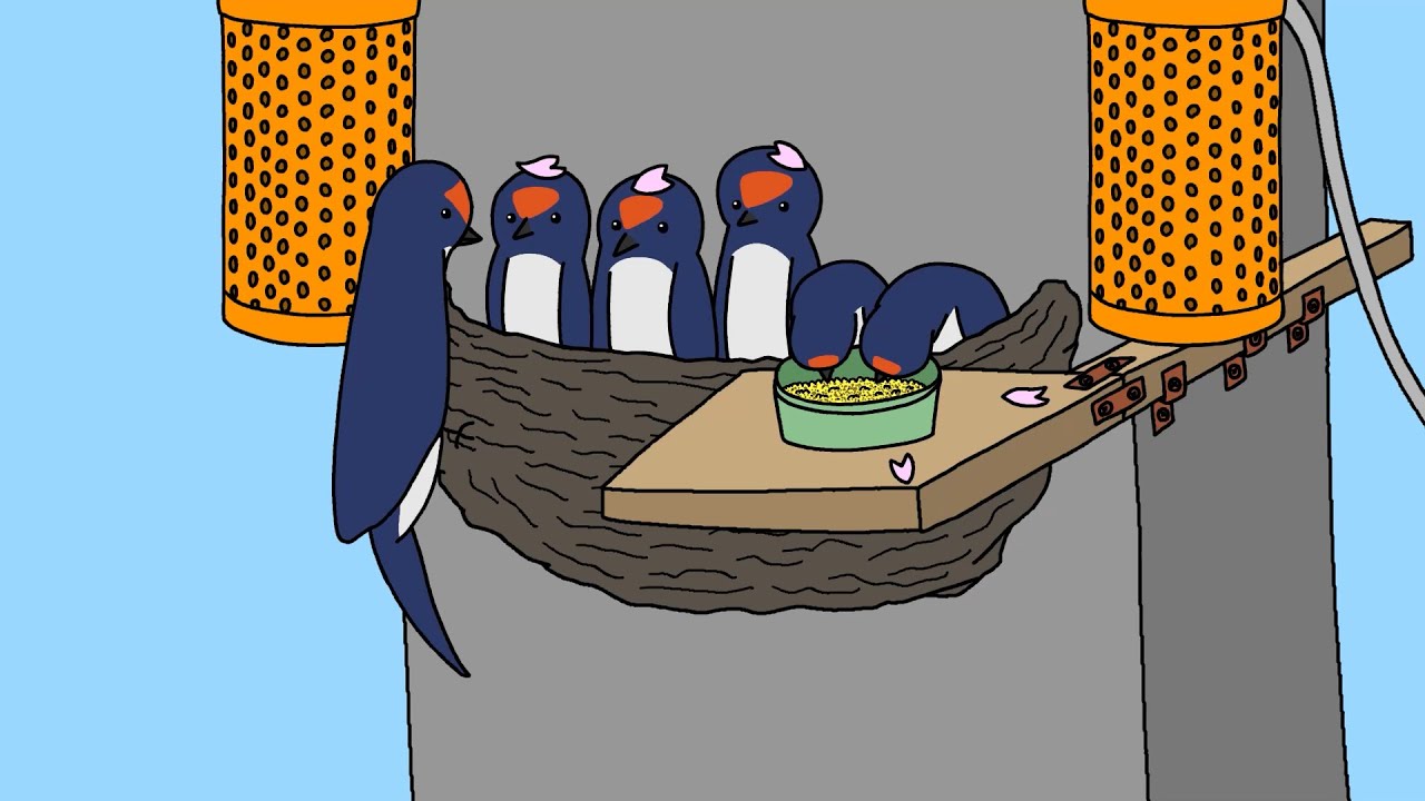ツバメ3