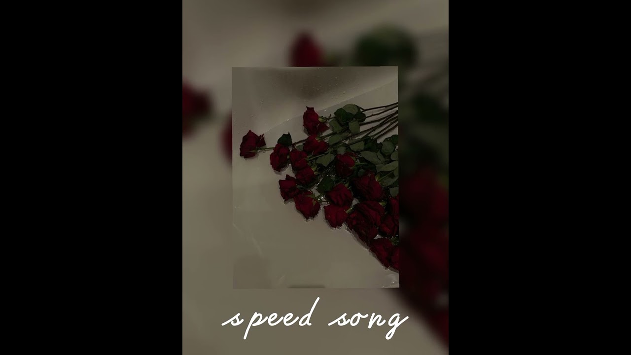Sarsa-zakryj | speed up ♡