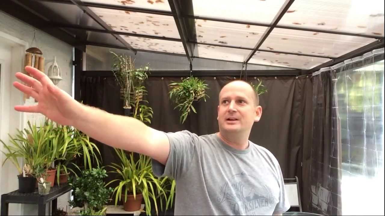 How to Bloom Cymbidium Orchids  / What do Cymbidium Spikes look like and New Grow Area.