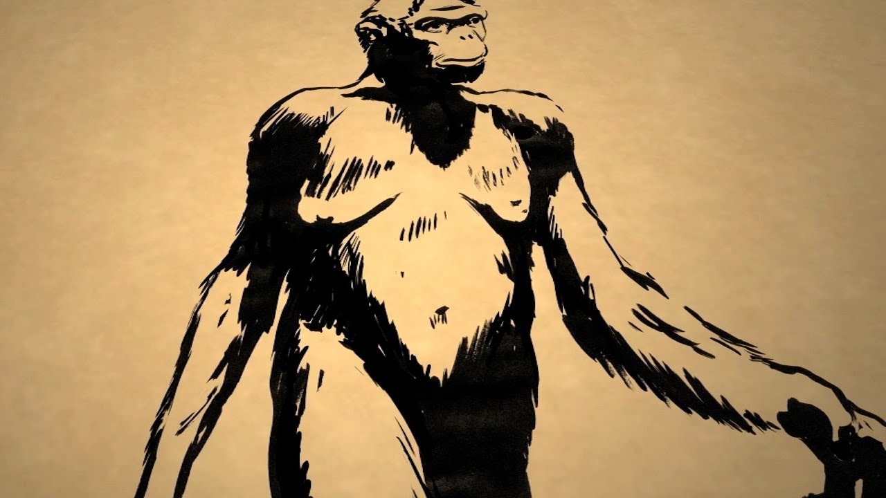 Who Was the First Human Ancestor? - Instant Egghead #31