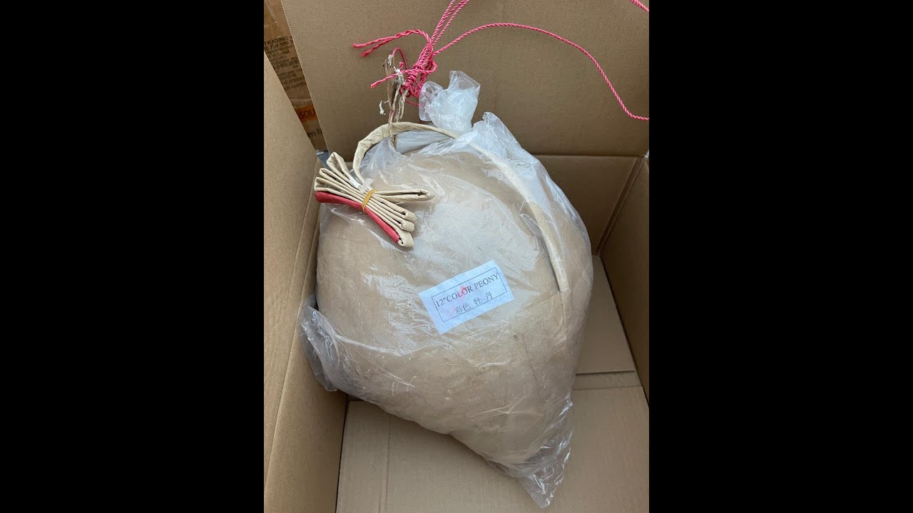 Höhenfeuerwerk mit 300mm Kugelbombe