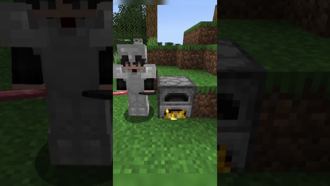 Cosas que hace un pro en Minecraft!