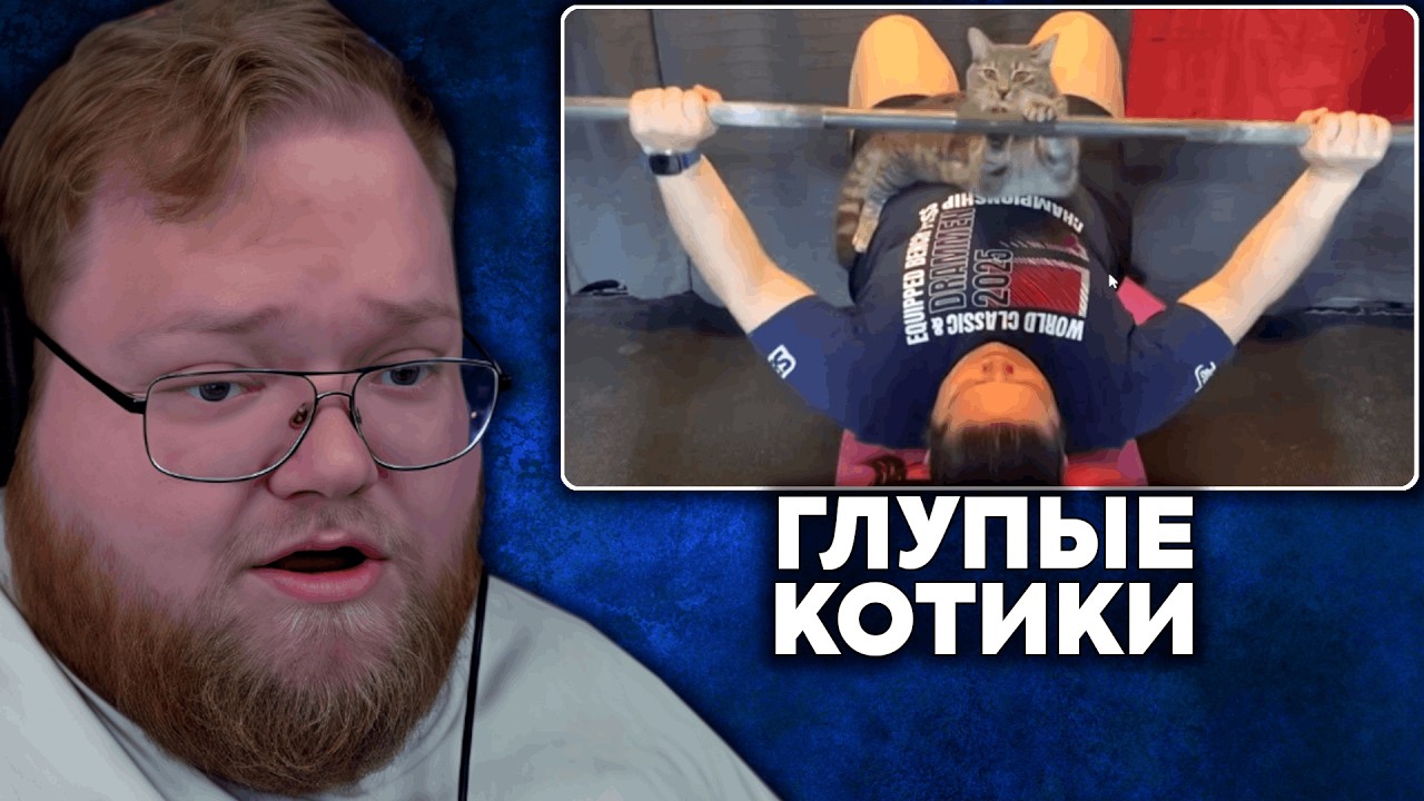 Т2х2 СМОТРИТ: ПОДБОРКА ВИДЕО С ГЛУПЫМИ КОТИКАМИ | CAT BRAIN·exe