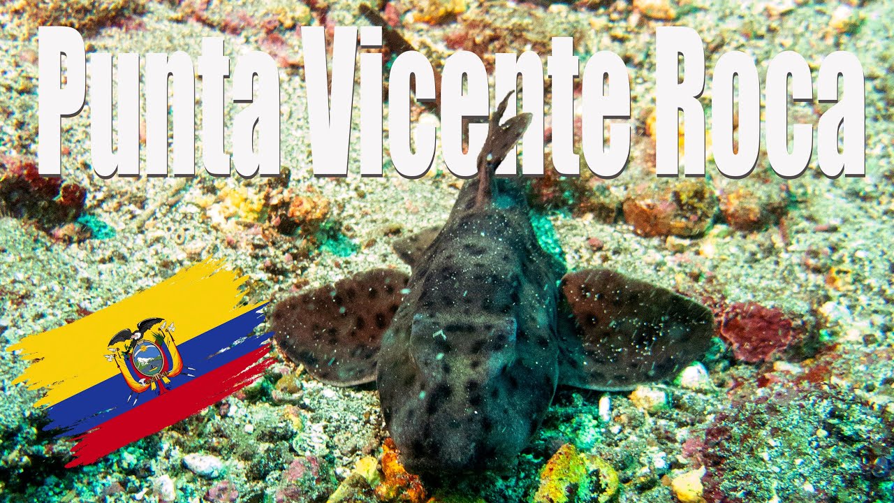 Diving Punta Vicente Roca in the Galapagos