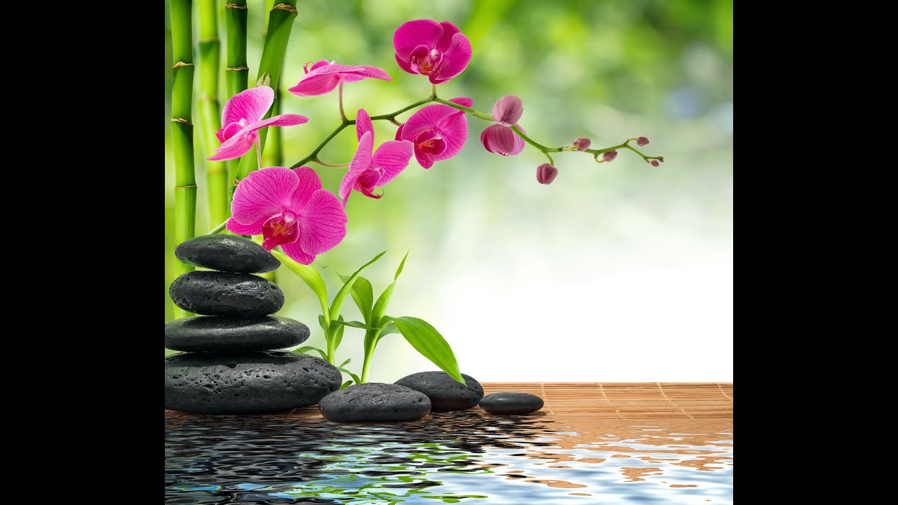 Live Relaxing Music feel Mediation Power of Music😊😊😊😊