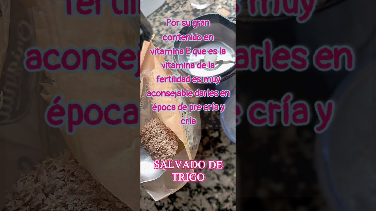 En concursos,cría y muda reforzamos su alimentación 