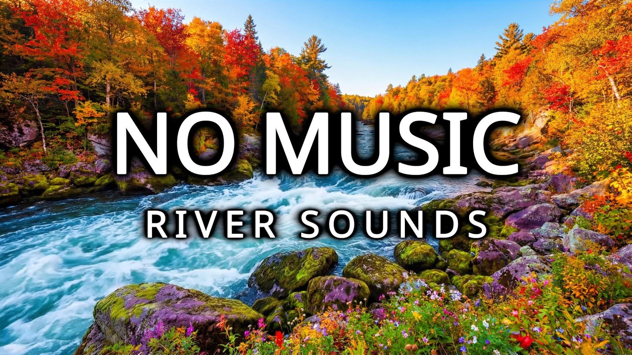 Mountain River & Autumn Forest: Powerful Water Sounds for Deep Sleep
