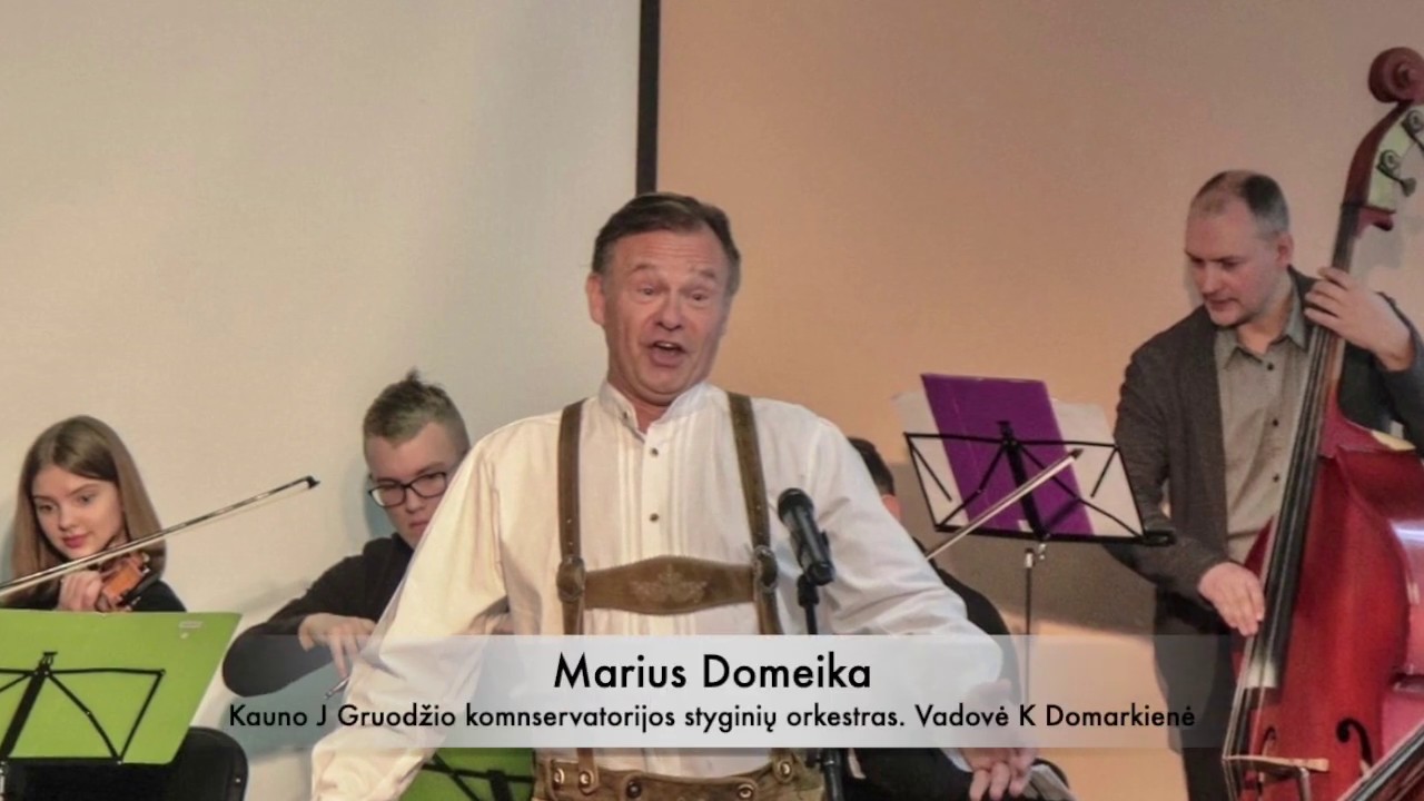 Marius Domeika.  Pauk&scaron;čių pardavėjas. Adamo daina