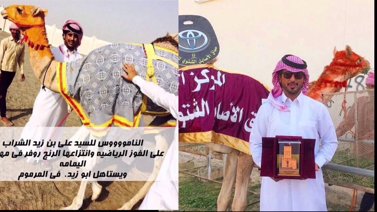 كلمات الشاعر معاشي ال روضه في علي الشراب