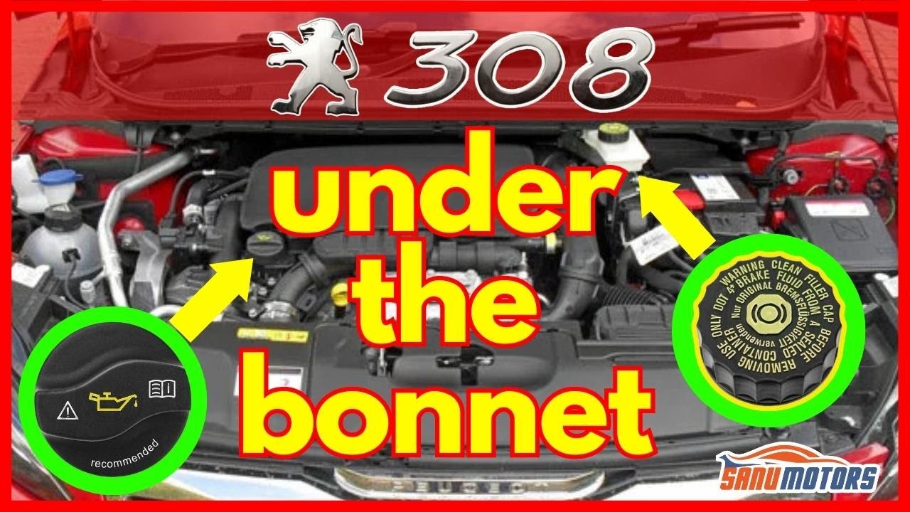 Peugeot 308 Проверка уровня всех жидкостей под капотом: подробное руководство по правильному обсл...