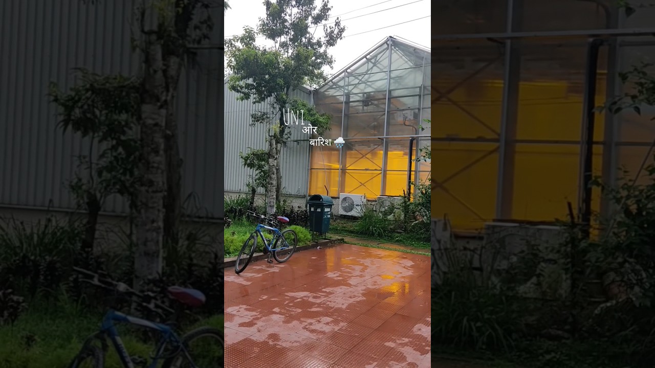 Rainy day at campus☔Assam Agricultural University #unidiaries #dayinmylife #minivlog #rain #aau#fyp