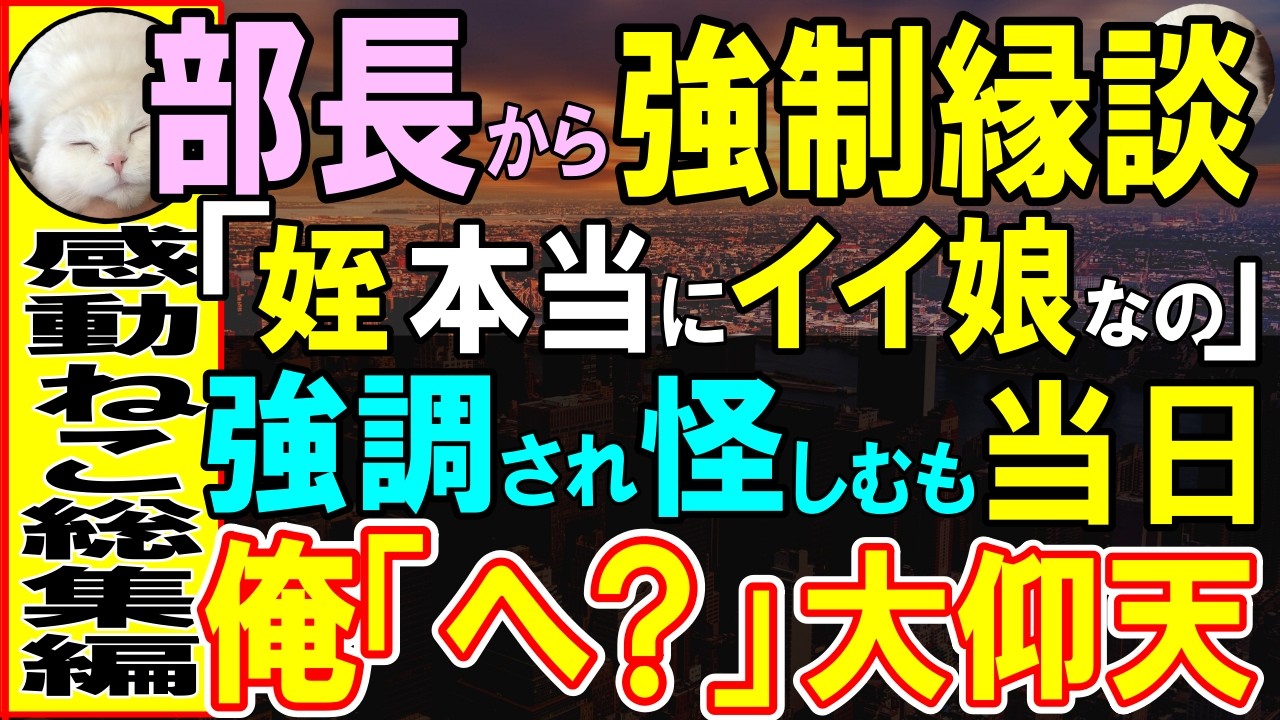 【感動する話】地方から本社に転勤になった独身社員の俺。直属の上司にしつこくお願いされ、断れずお見合いする事に。当日、会ったお相手は「やっぱり忘れちゃった？」涙流し…【いい話・泣ける話・朗読】