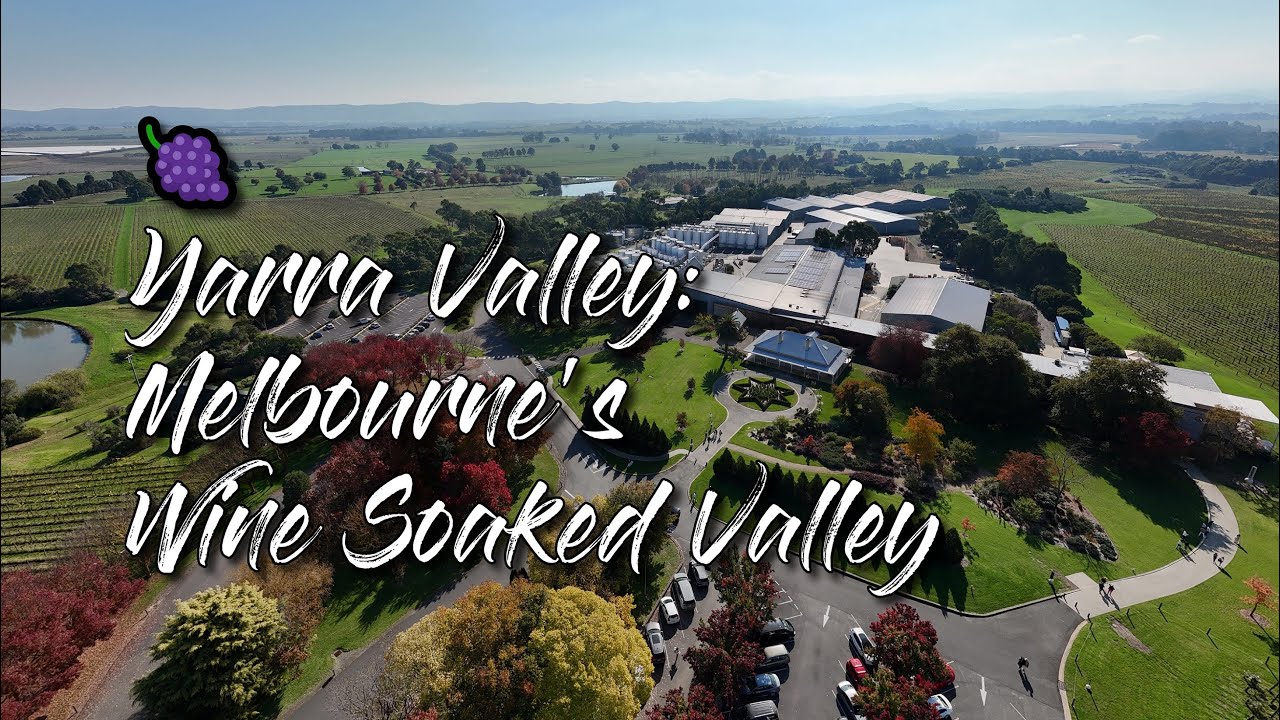 🍇 Melbourne’s Wine-Soaked Valley | Guide to the Yarra Valley