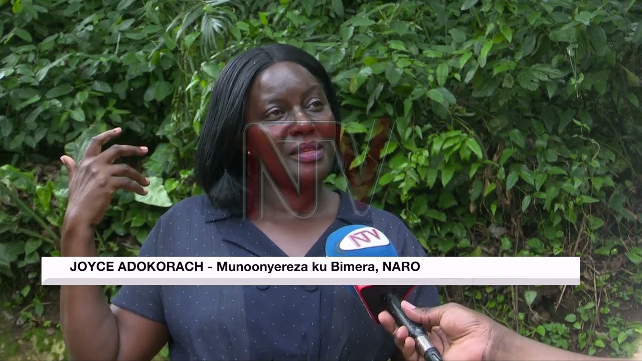 Ekifo kya Botanic Gardens: Manya lwaki kirina okukuumibwa obutiribiri