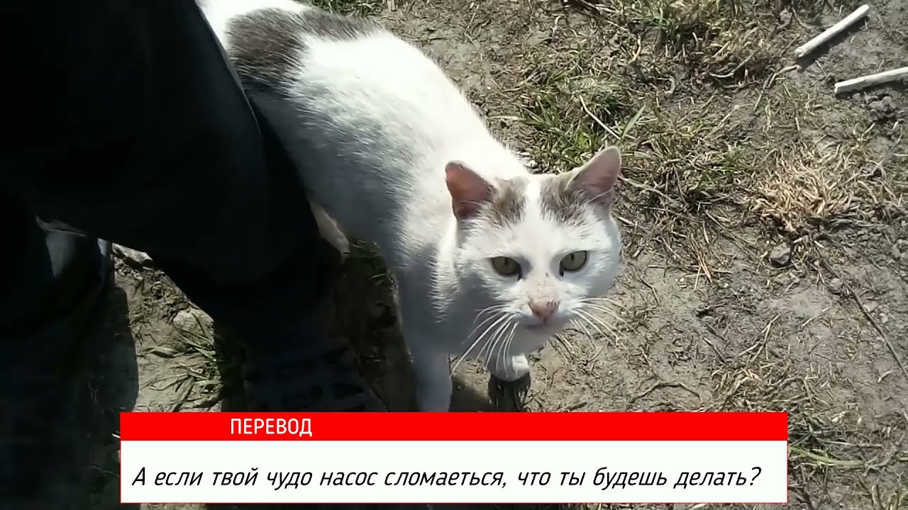 Электробензонасос Спустя Год (на ВАЗ, Таврия), Стоит ли Ставить?