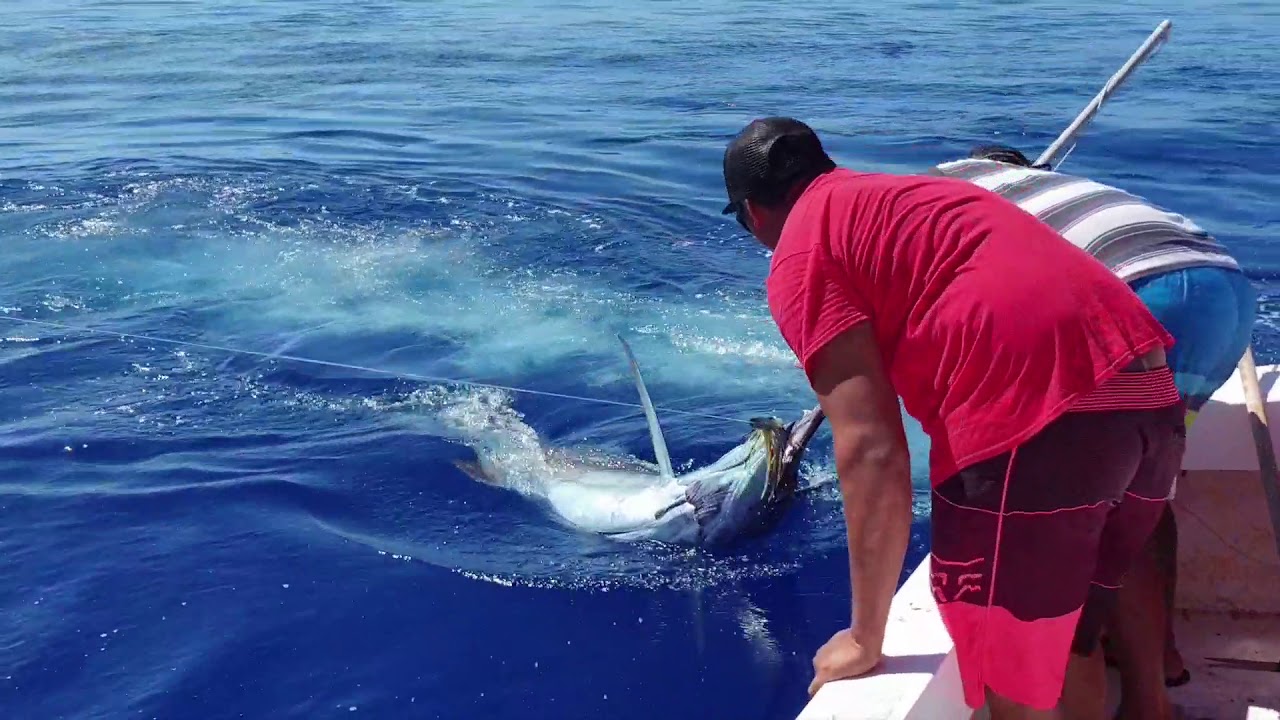 Pêche espadon 168kg Eric Paroo-Bora Bora
