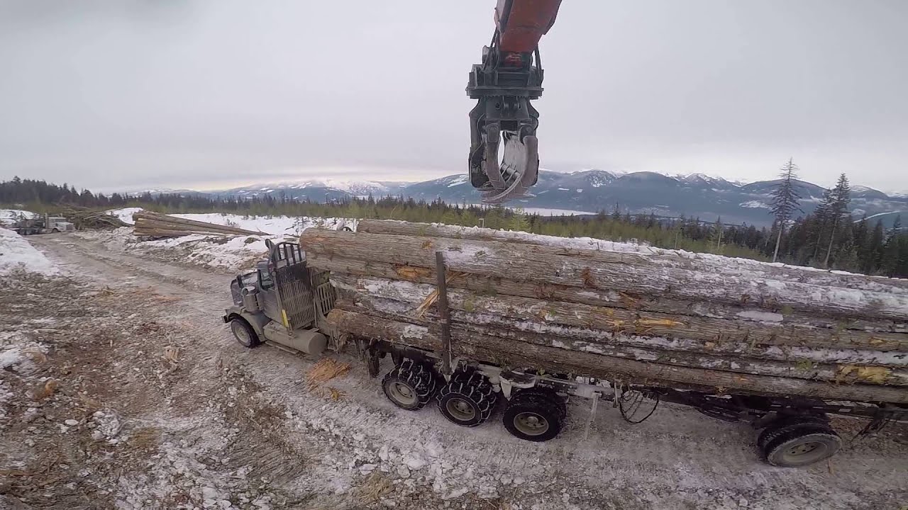 loading a logging truck in  the bush