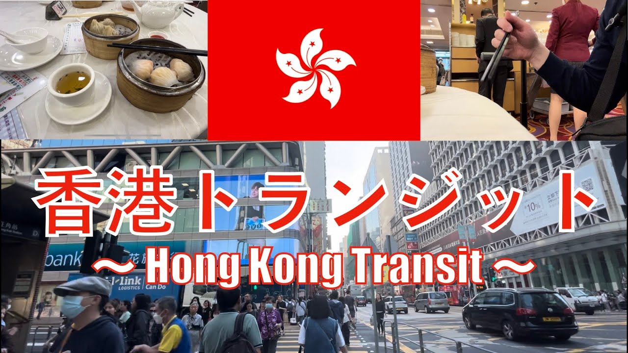 【弾丸検証】所要時間3時間で香港は楽しめる？【香港トランジット🇭🇰】 香港国際空港→市内への行き方解説|ローカル飲茶レストラン紹介|香港航空|香港国際空港