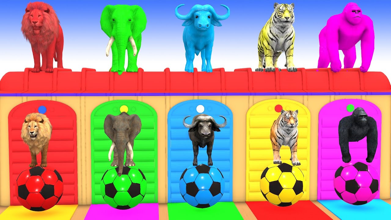 Long Slide Game With Cow Elephant Gorilla Hippopotamus Tiger 3d Animal Game Funny 3d Animals