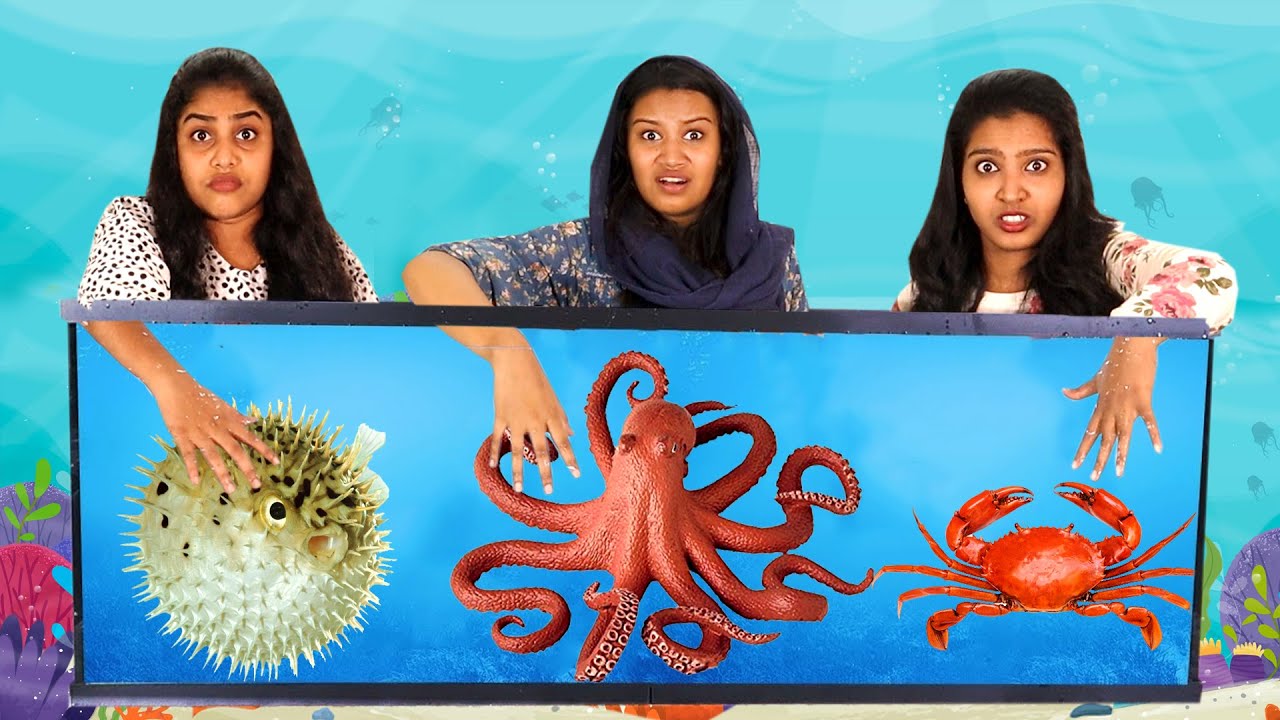 WHAT’S IN THE BOX UNDERWATER CHALLENGE 😱 | നല്ല എട്ടിന്റെ പണികള്‍ 😂| PULLOTHI